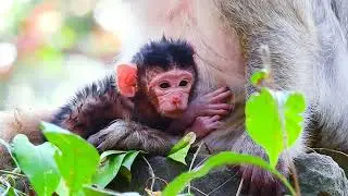 Mom&rsquo;s little baby monkey! 🐵💖 #MonkeyCuddles #TinyAdventures