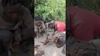 Hadza Make Fire By Rubbing Sticks