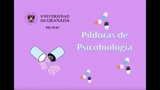 1ª Píldora, ¿Qué es la Psicobiología?