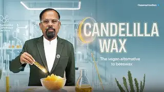 The Most Underrated Wax in Cosmetics 😱 | Hidden Power of Candelilla Wax Revealed!