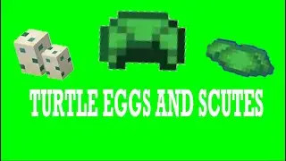 The EASIEST way to collect Turtle Eggs and Scutes! | Minecraft 1.16