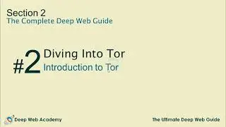 The Basics Of Tor for Beginners
