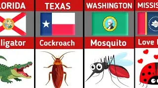 🐍Most Annoying Animal in Every U.S. State 🤢| 50 States, 50 Pests!