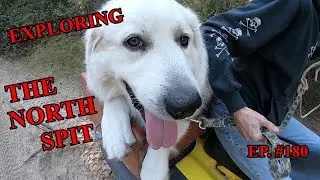 The Frank Files  EXPLORING THE NORTH SPIT  COOS BAY OREGON  EP. #180  #FrankSmiles