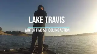 Central Texas Fishing Guide | Winter Time Schooling Bass | Lake Travis