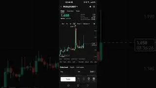 #bitcoin #pickle #crypto #coin #best #volatility