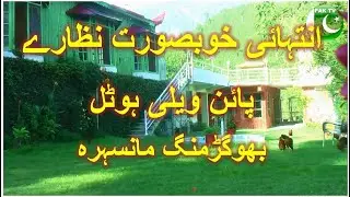 Pine Valley Hotel Bhogarmang Mansehra  / انتہائی خوبصورت نظارے