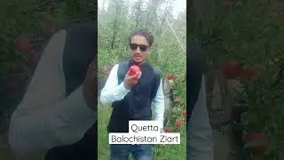 Apple's | Quetta | ziarat | Balochistan #Pakistan #quetta #nawabsahib