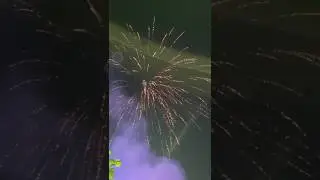 Dark 🎆 | 5&rdquo; Willow Effect Sky Shot 🌙 Vanitha Fireworks ₹1500 (2 Shells) #shorts #fireworks#patakhe