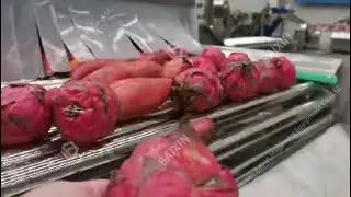 Fruit and vegetable cleaning production line/Fruit processing machine/Food machine