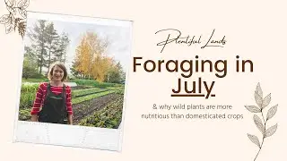 Foraging in July | Why Wild Plants are so Nutritious