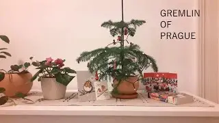 silent vlog ▲ christmas in Prague ▲ czech potato salad ▲ botanical garden