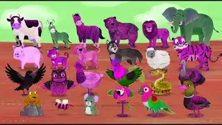 ANIMAL SOUND LALALA LALALA | SPONSORED BY: GAMAVISION CSUPO EFFECTS
