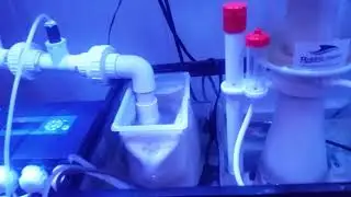 Installing High Flow Drain With Venturi To Display Refugium/Holding Tank