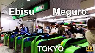 Night walking tour from Ebisu Station to Meguro Station at Tokyo, Japan 2025.