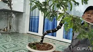 Đảo thiên địa 