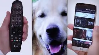 [LG WebOS TV] - LG&rsquo;s Magic Three  Remote, Zoom, and Phone Connection in LG Smart TV