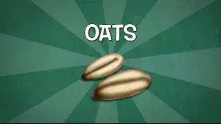 Oats - Check out Agriculture