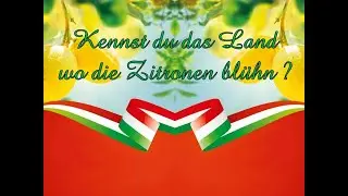 Kennst du das Land wo die Zitronen blühn
