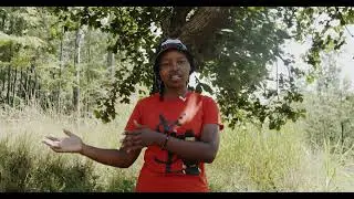 conservation agriculture with Fertigro