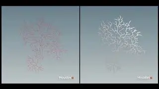 Houdini Space Colonization Algorithm in VEX
