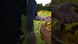 VIP flower delivery by TimurFearless.