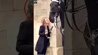 She Asked the Royal Guard for His Number&hellip; and He Said YES! 😲❤️