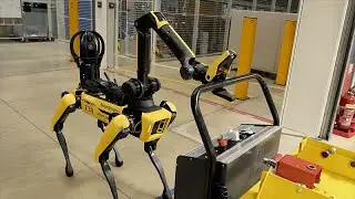 Meet &lsquo;Rover', the AI-driven robot dog