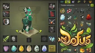 Session PVP Xelor 200  Multi Elements