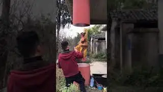 The legend painter of the world.