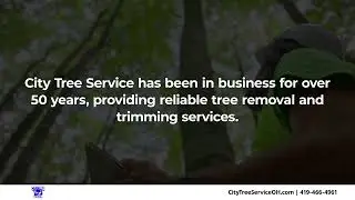 City Tree Service Holland Ohio 43528