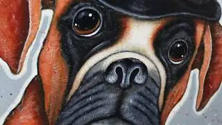 Rocky by George Gale