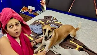 Ghar Ki Barbadi Ho Gayi 🤯