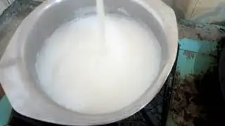 Boiling of #camel#milk
