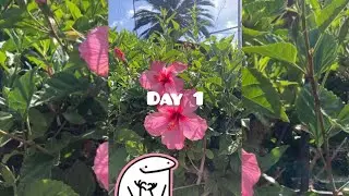 Day 1: Beach Day🏖🌺✨️🌊