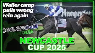 2025 Newcastle Cup | Soul Of Spain, Travolta, Don Diego De Vega