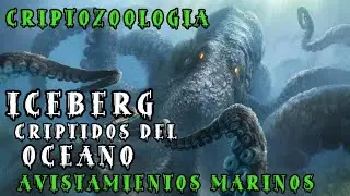 ICEBERG DE CRIPTIDOS DEL OC&Eacute;ANO/ Criptidos MARINOS de La  CRIPTOZOOLOGIA / Avistamientos