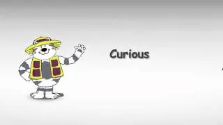 Curious Cat Character Animation