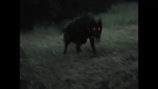 ⛧FREE ⛧OLD SCHOOL HORRORCORE TYPE BEAT 