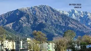 Shades of Winter - Palampur, Himachal Pradesh