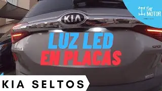 Como colocar Luz LED para las placas traseras Kia SELTOS