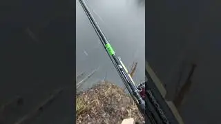 cudny zestaw dawiwa prorex sensor spin 2g do 10g 270cm kołowrotek daiwa fuego 2022 3000 c klasa!!!