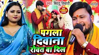 पगला दीवाना रोवत बा दिल | Bittu Tiwari का जबरदस्त मुकाबला गीत | Maha Muqabla Bhojpuri 2024