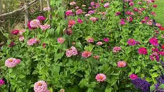 Easton Walled Gardens September 2023