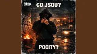 Pocity