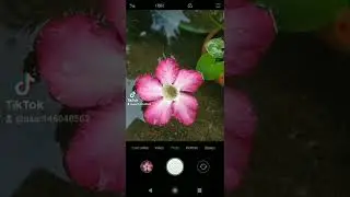 photography tips and  using mi a2 phone