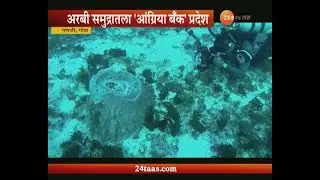 Special Report On World Ocean Day | 8 June