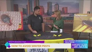 What's Bugging You? Don't let bed bugs in your home