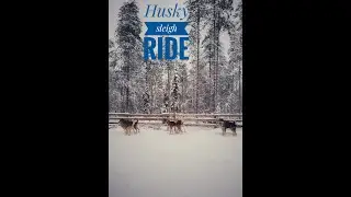 Winter escape for one week  to Sweden, Finland and Copenhagen!!