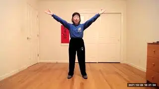 Medical Silk Reeling Exercises (SRE-H): Tutorial
